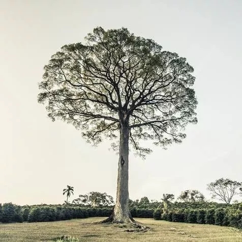 1562499895835615.jpg