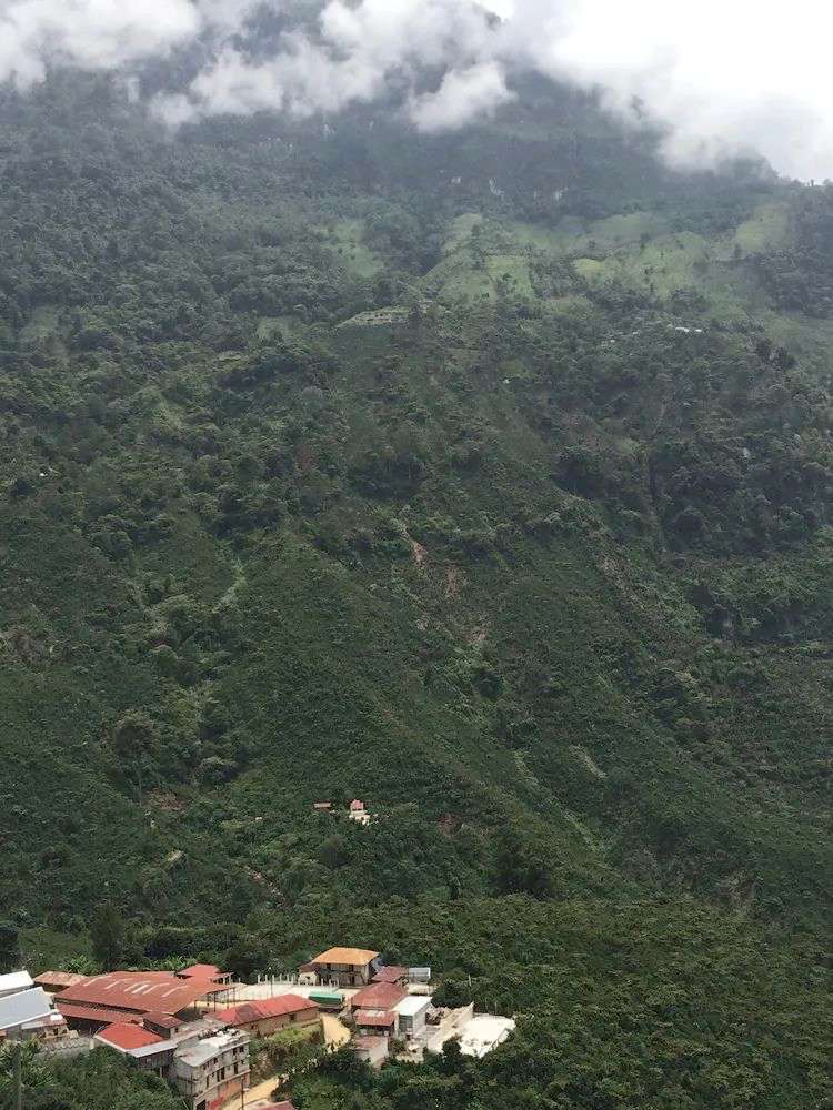 1594728223613782.jpeg 1594728223613782.jpeg