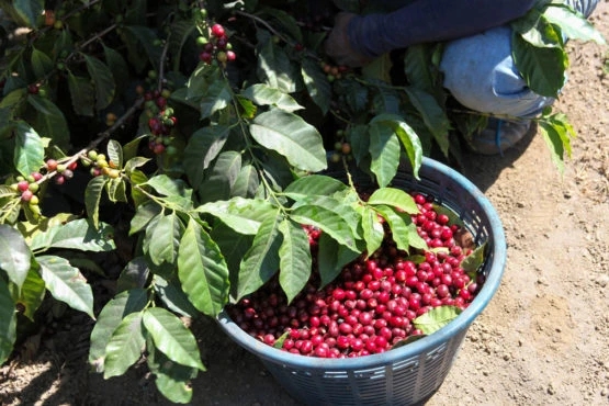 1594731460534433.jpeg 1594731460534433.jpeg