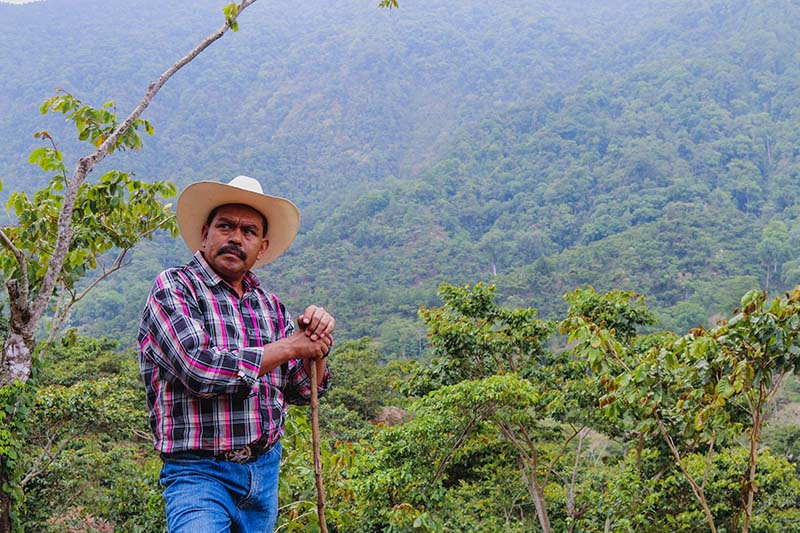 cafeimportsmexicoar-8.jpg