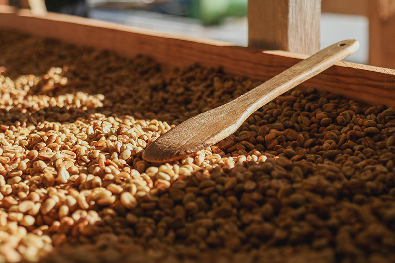 cafeimportsmexicoar-18.jpg