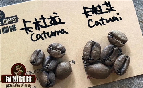 微信图片_20210202101712.jpg