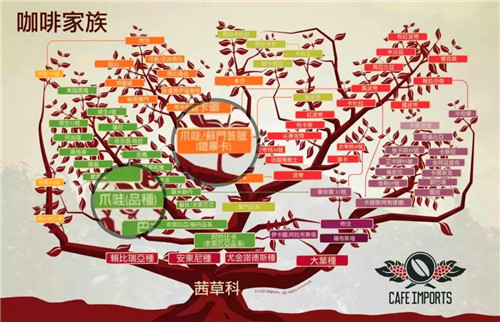 微信图片_20210204132143.jpg