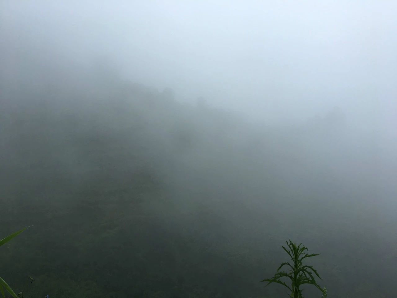 1619081410590907.jpg