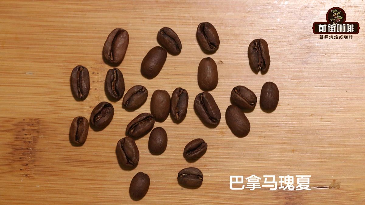 巴拿马瑰夏豆.jpg