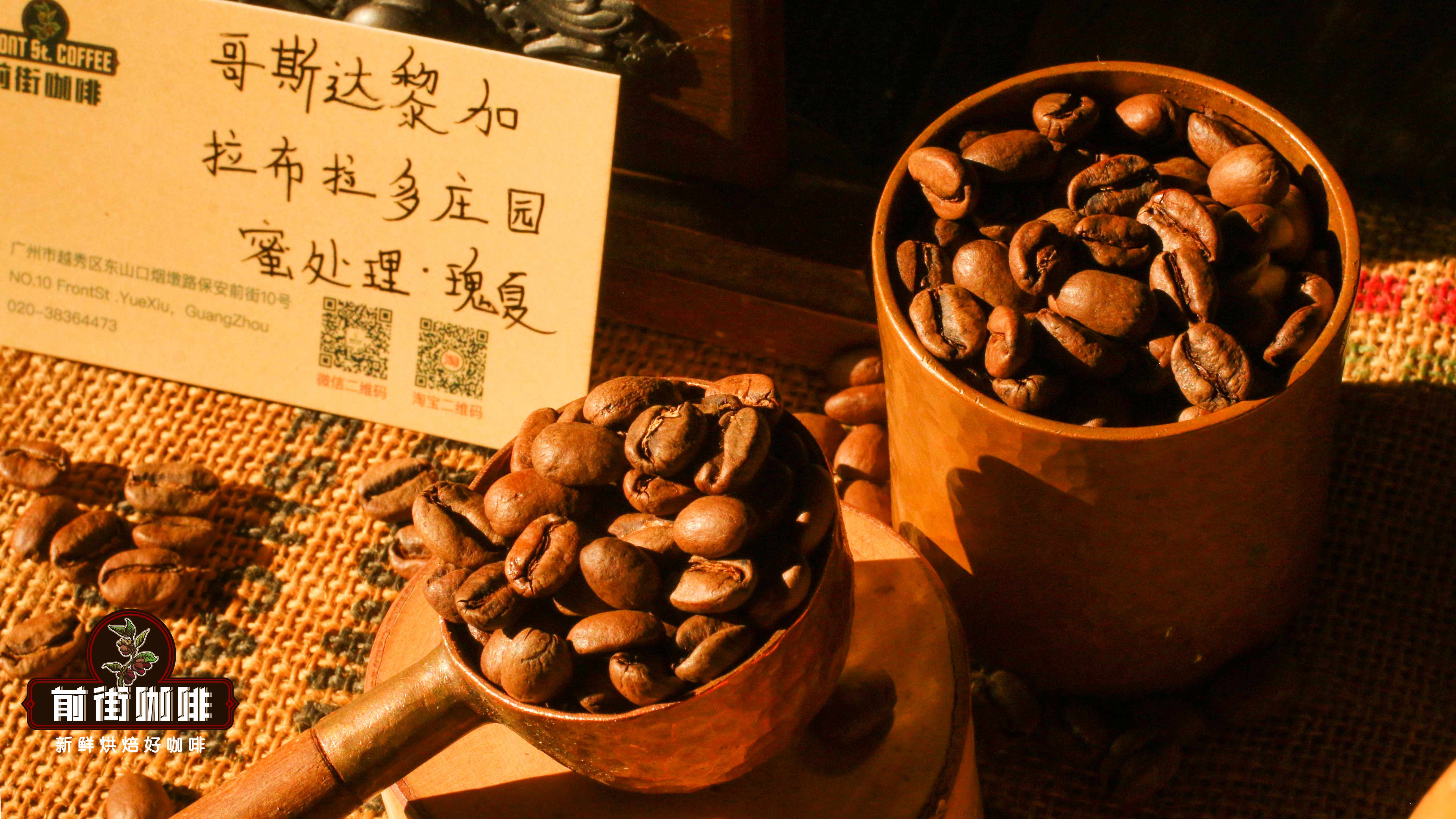 1728875304248052.jpg 哥斯达黎加拉布拉多庄园1088.jpg