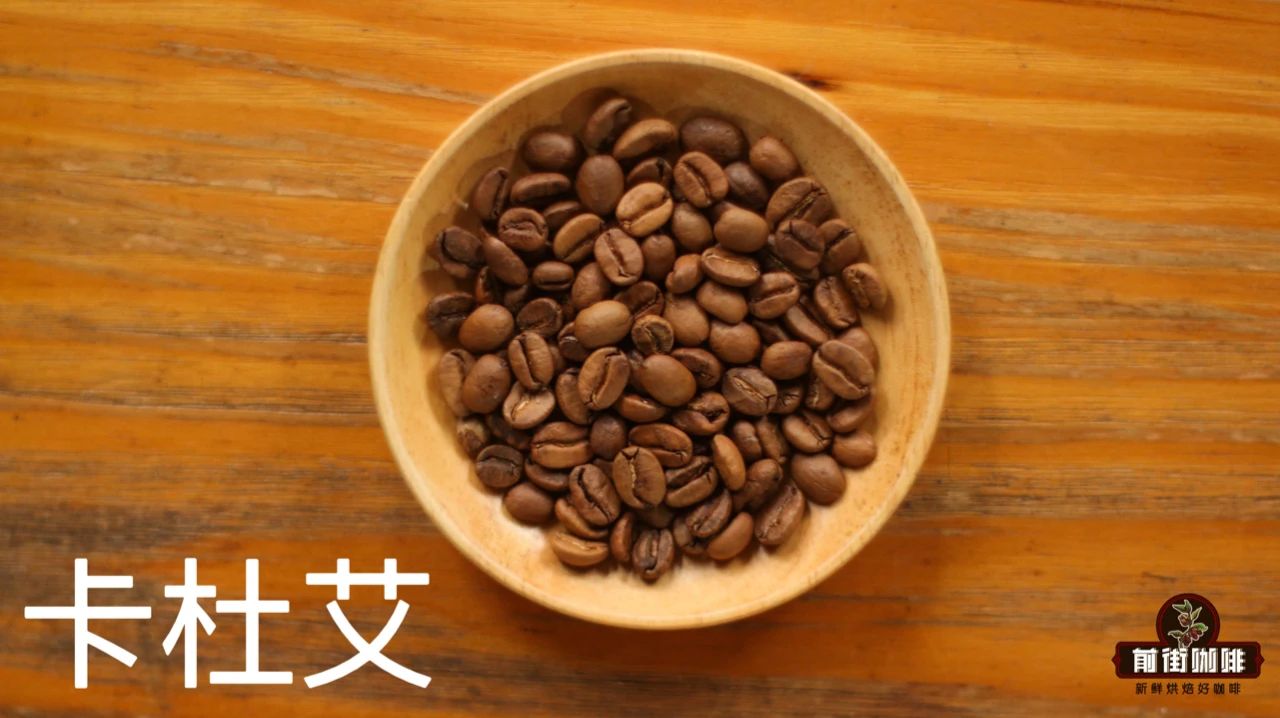 卡杜艾1.jpg