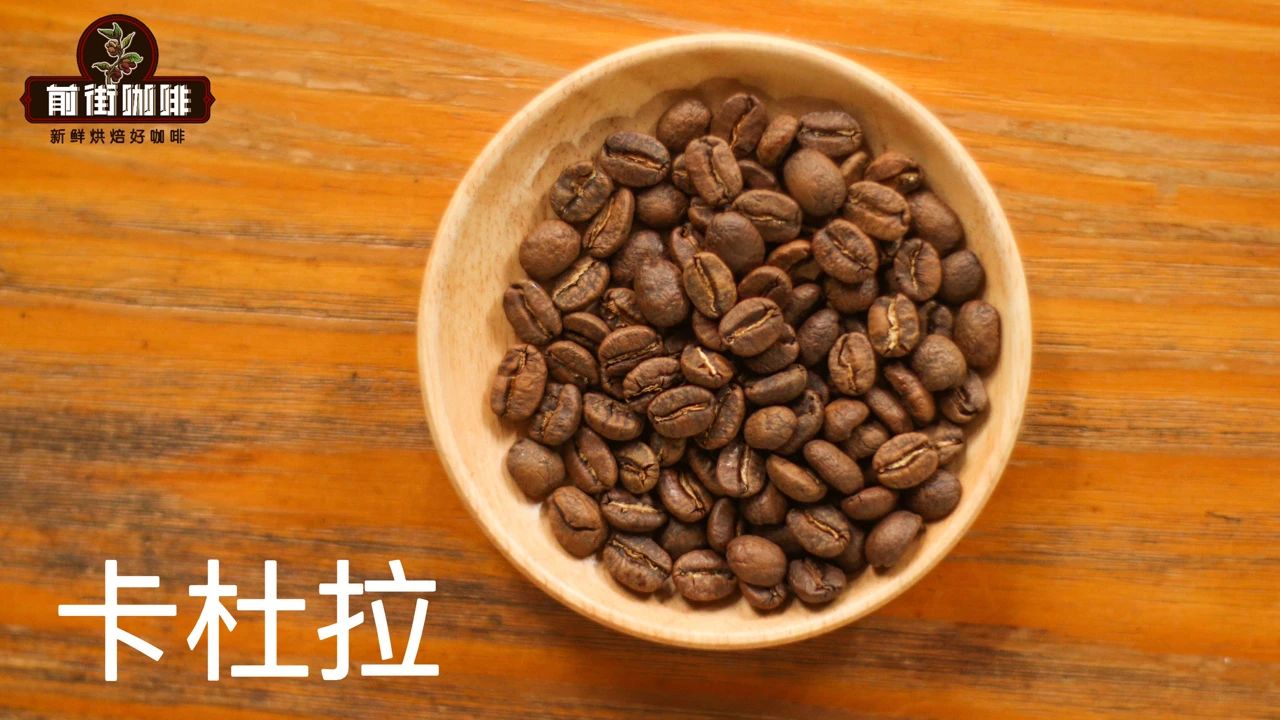 1742021606588957.jpg 卡杜拉咖啡豆0.jpg