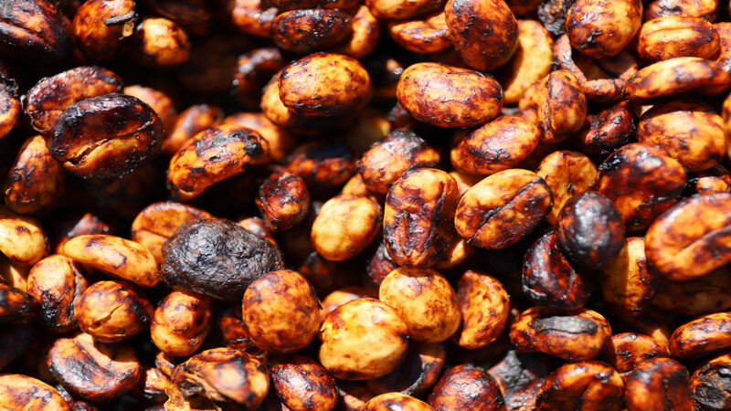 Honey Processing: One of a Kind Coffee Processing Type - Buah Berdikari