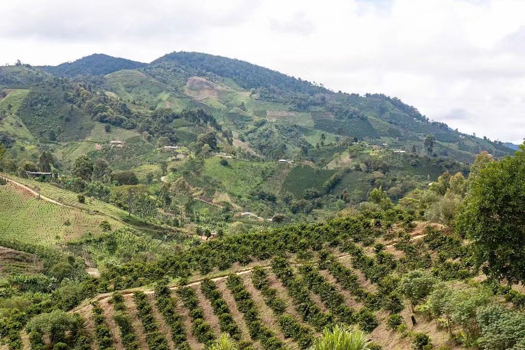 Colombia 2658