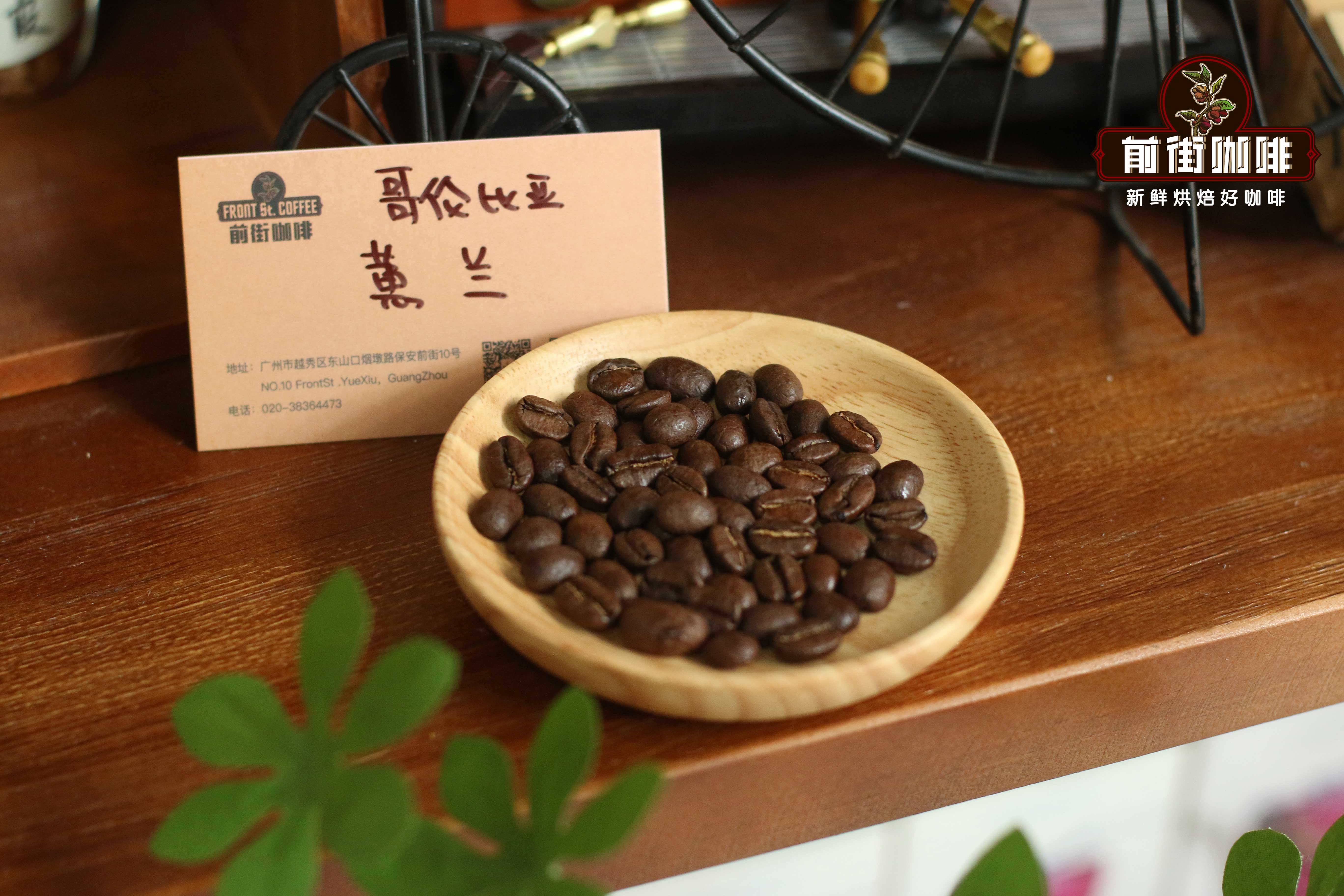 IMG_Huilan Daily Roast