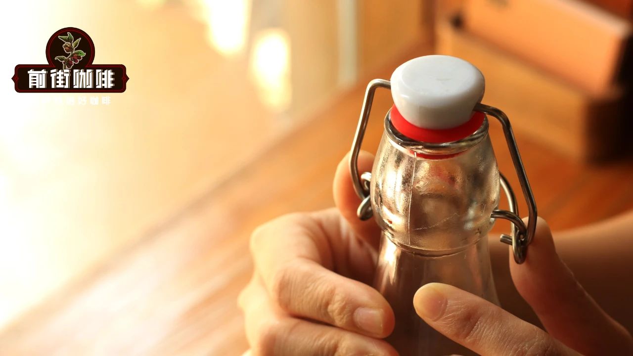 Cold Brew Bottle 19466