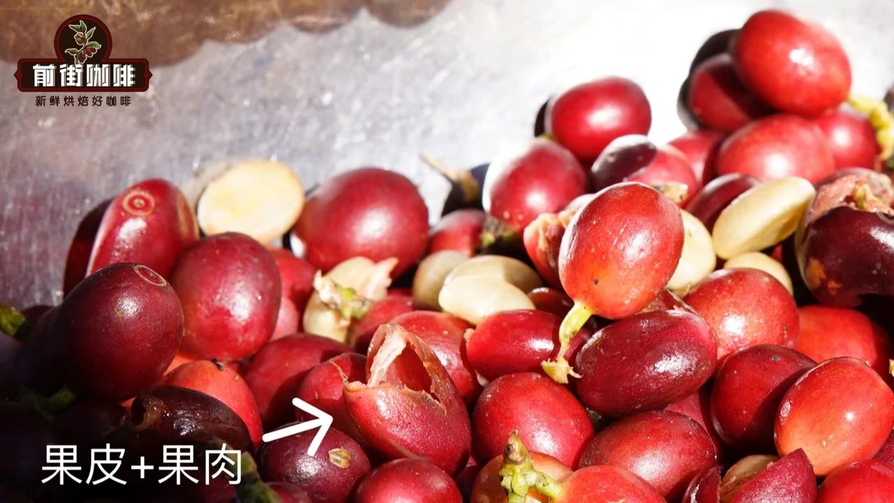 Coffee Cherry Skin and Pulp 22