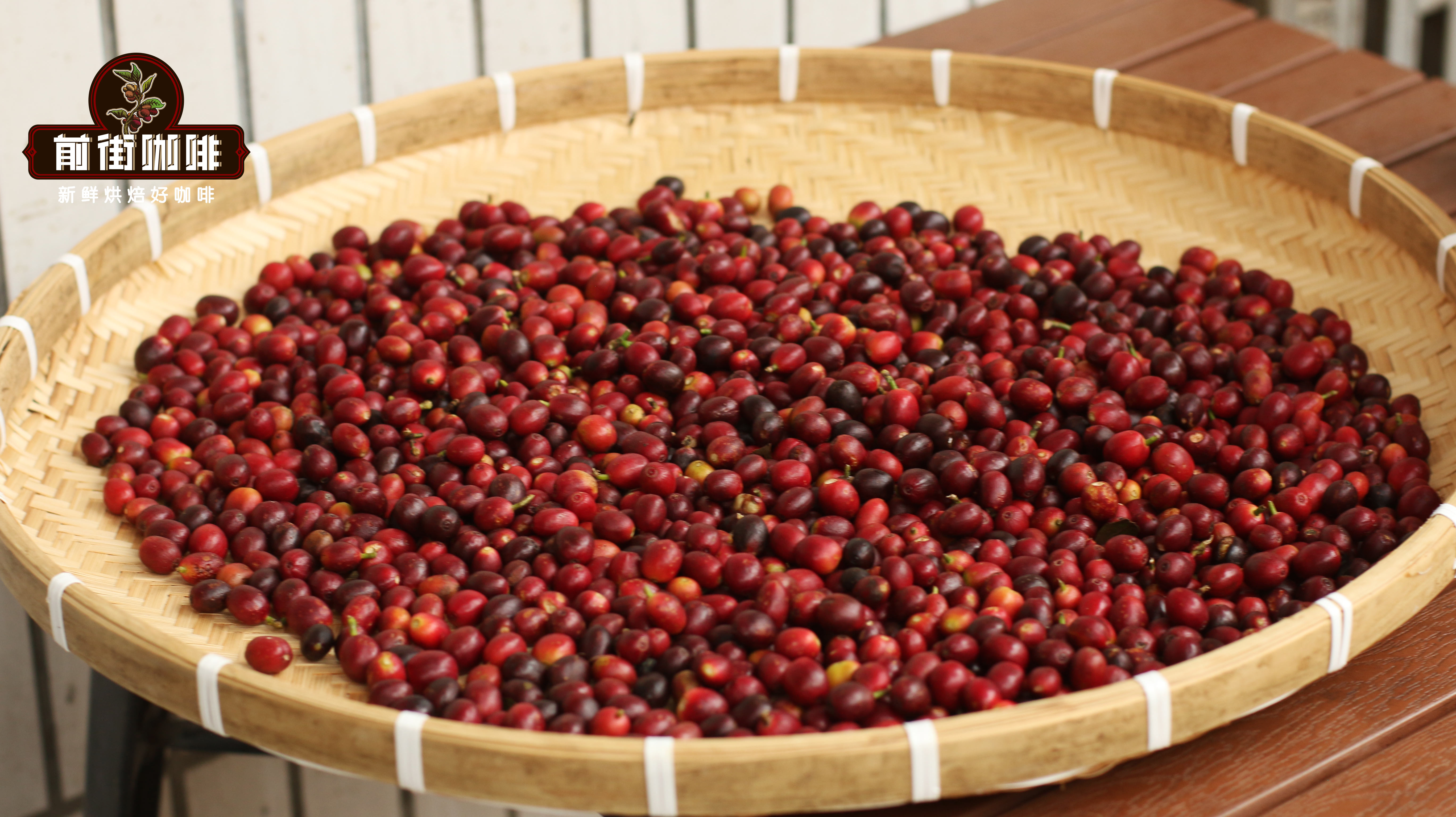 IMG_Store Natural Processed Coffee Cherries
