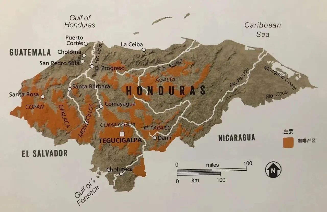 Honduras Production Area 8