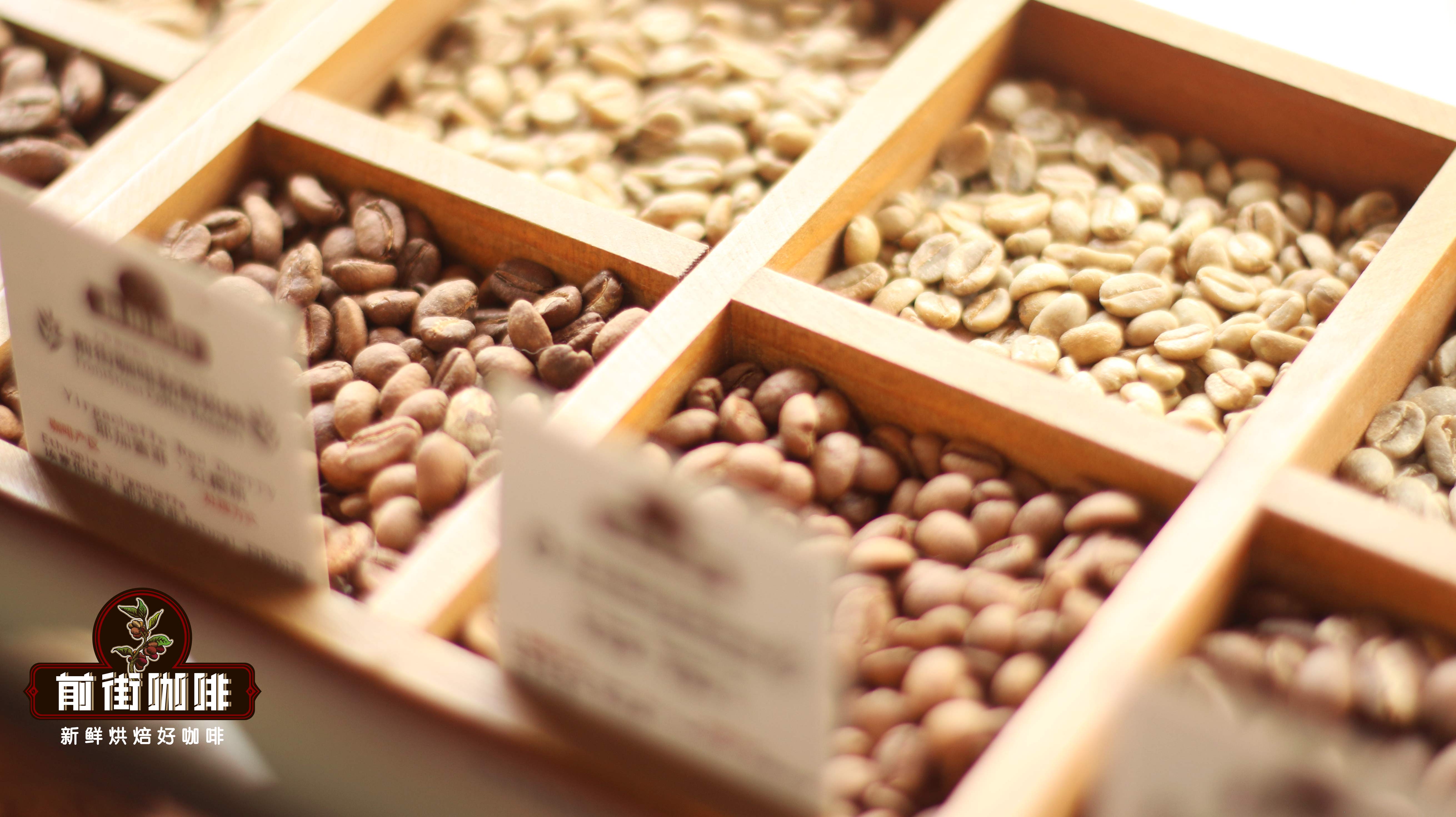 Coffee Bean 46773