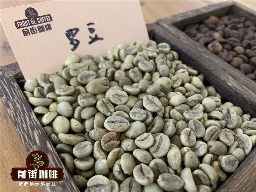 Robusta Bean 3