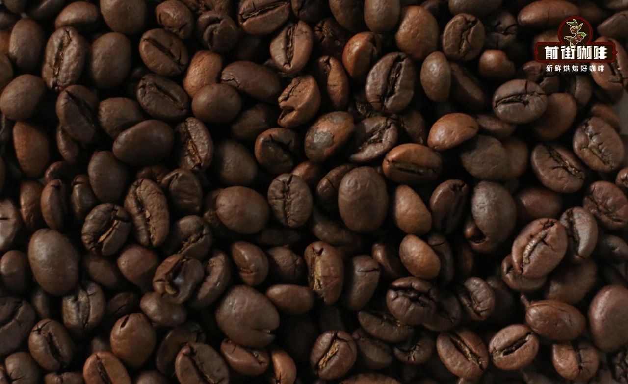 Robusta Bean 2