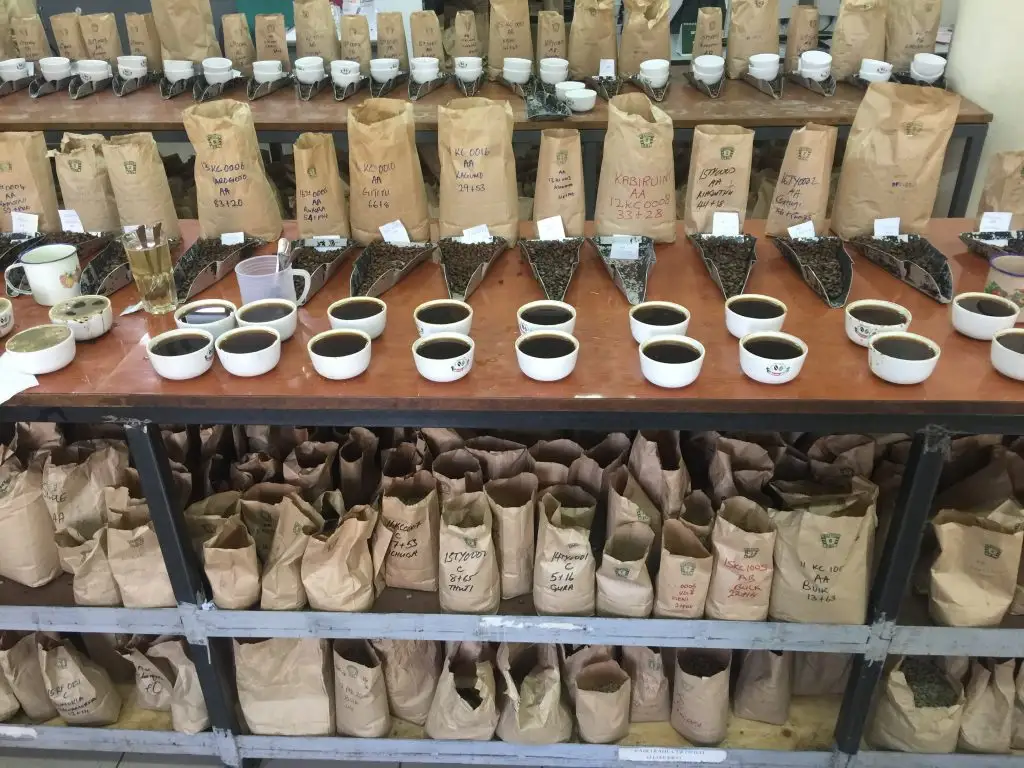 Kenya Coffee Grading