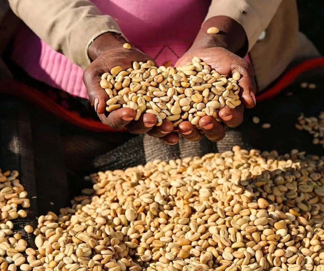 74158 Coffee Beans