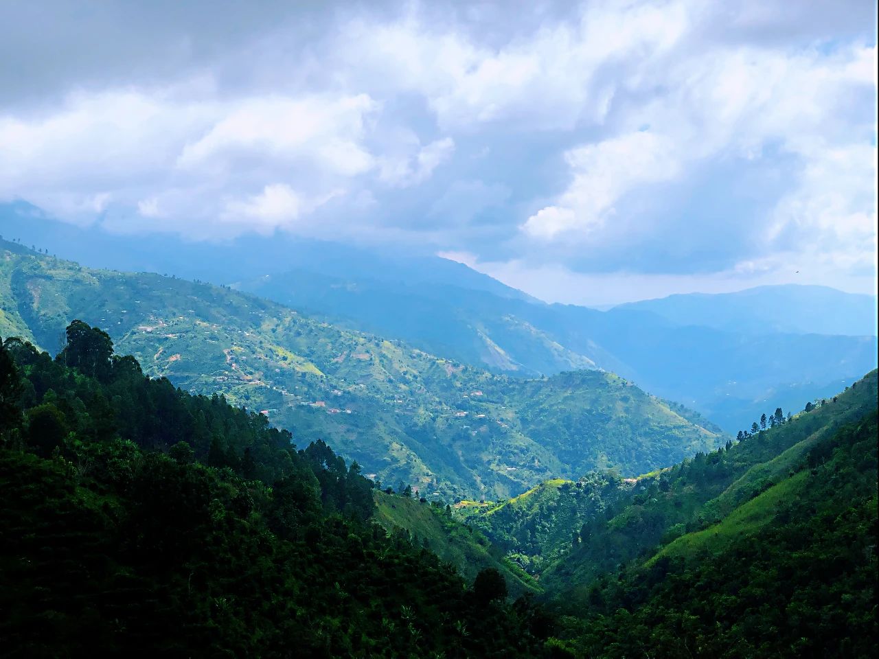 Blue Mountain scenery 2