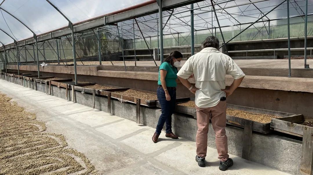 Costa Rica processing method