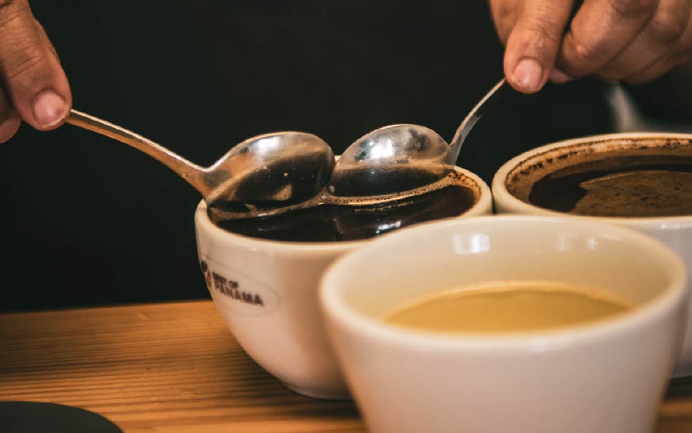 巴拿马咖啡杯测 巴拿马咖啡杯测