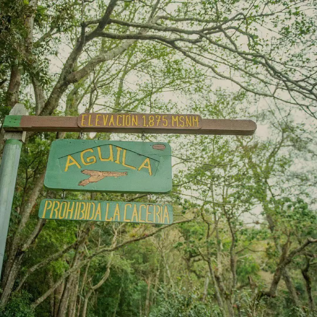 翡翠地块268 翡翠地块268