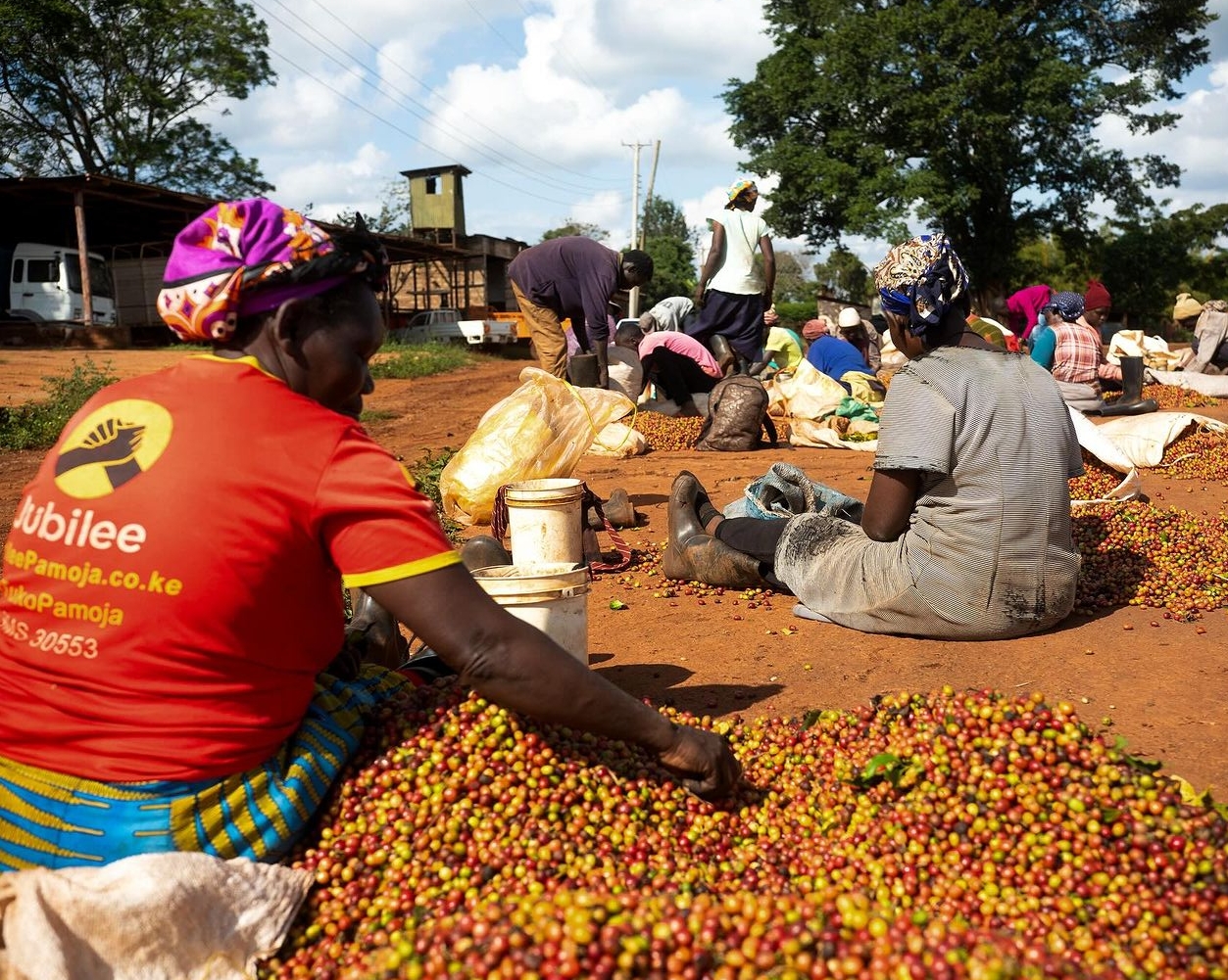 Kenya Coffee 2963