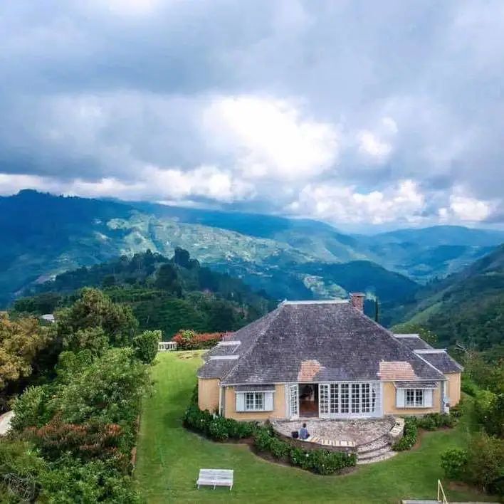 Blue Mountain Clifton 6