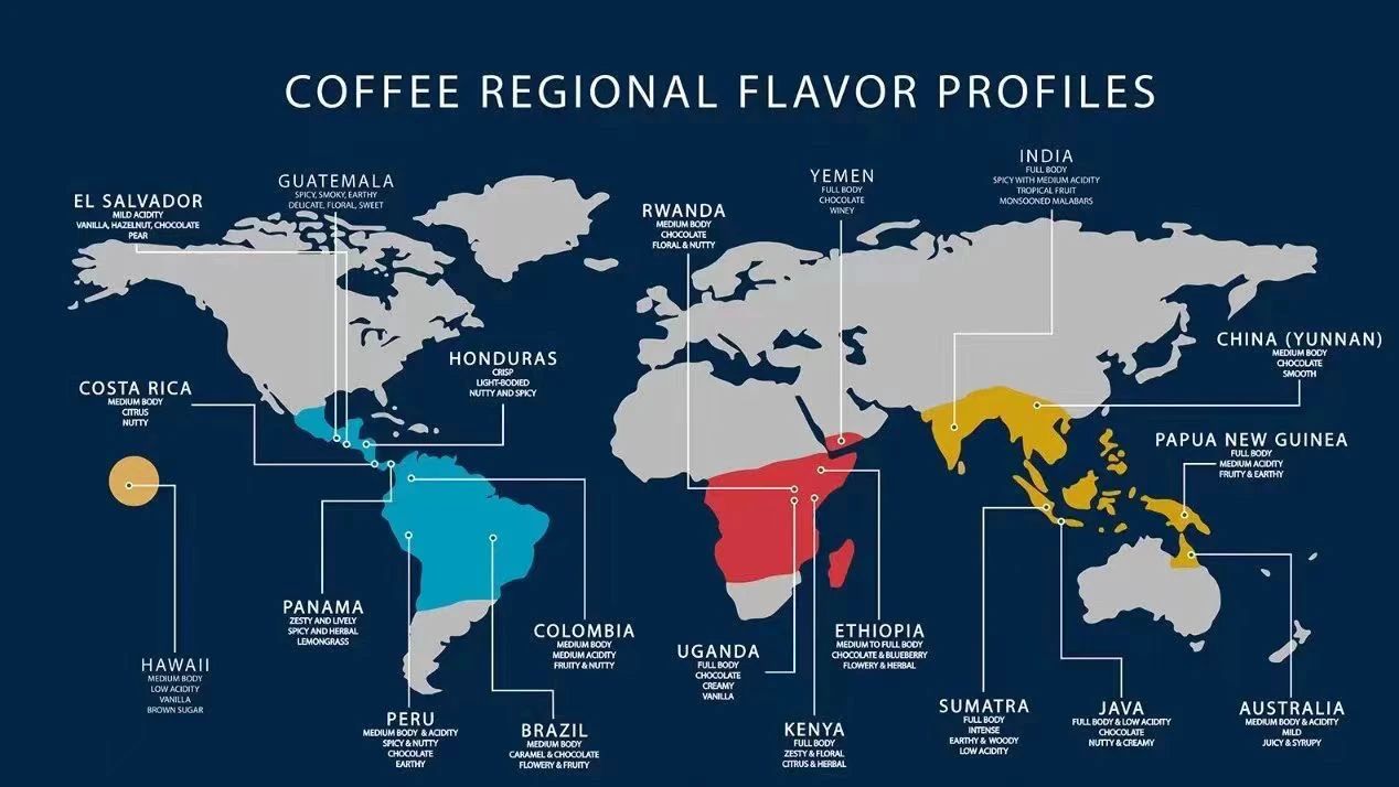 Coffee Golden Growing Belt 57