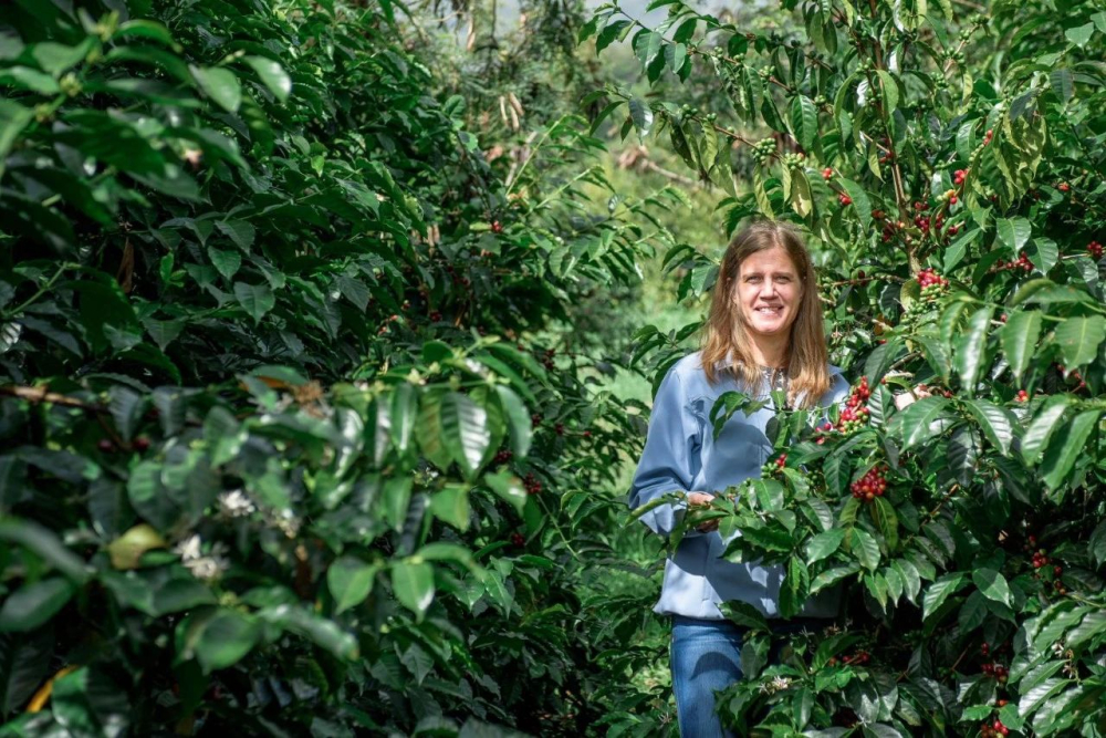 Hacienda La Esmeralda da97e