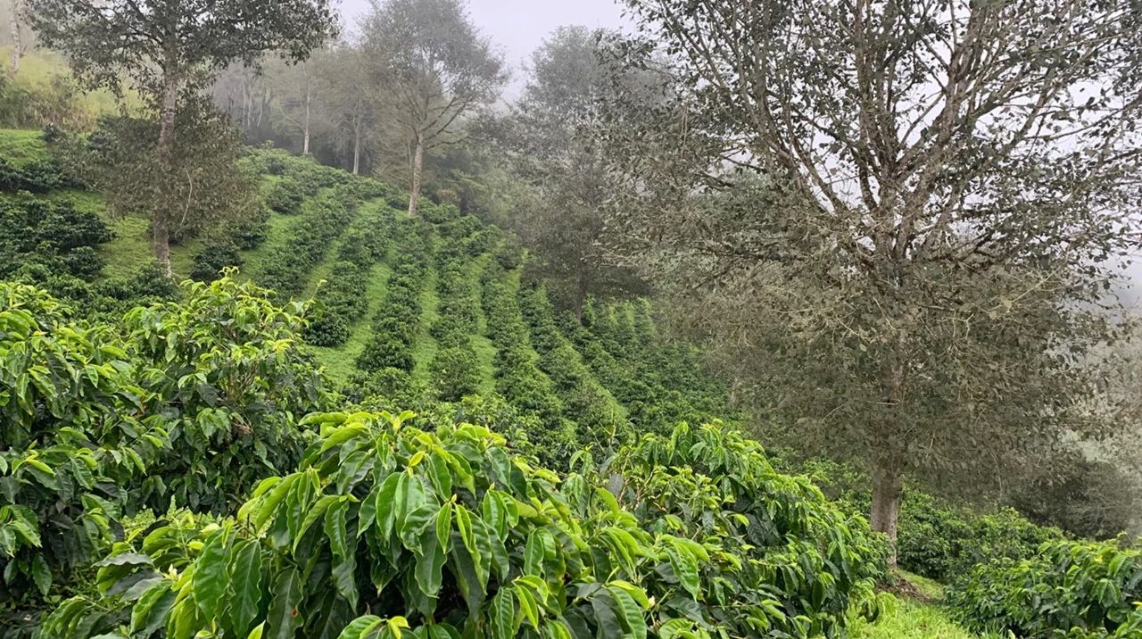Ecuador b6f5e