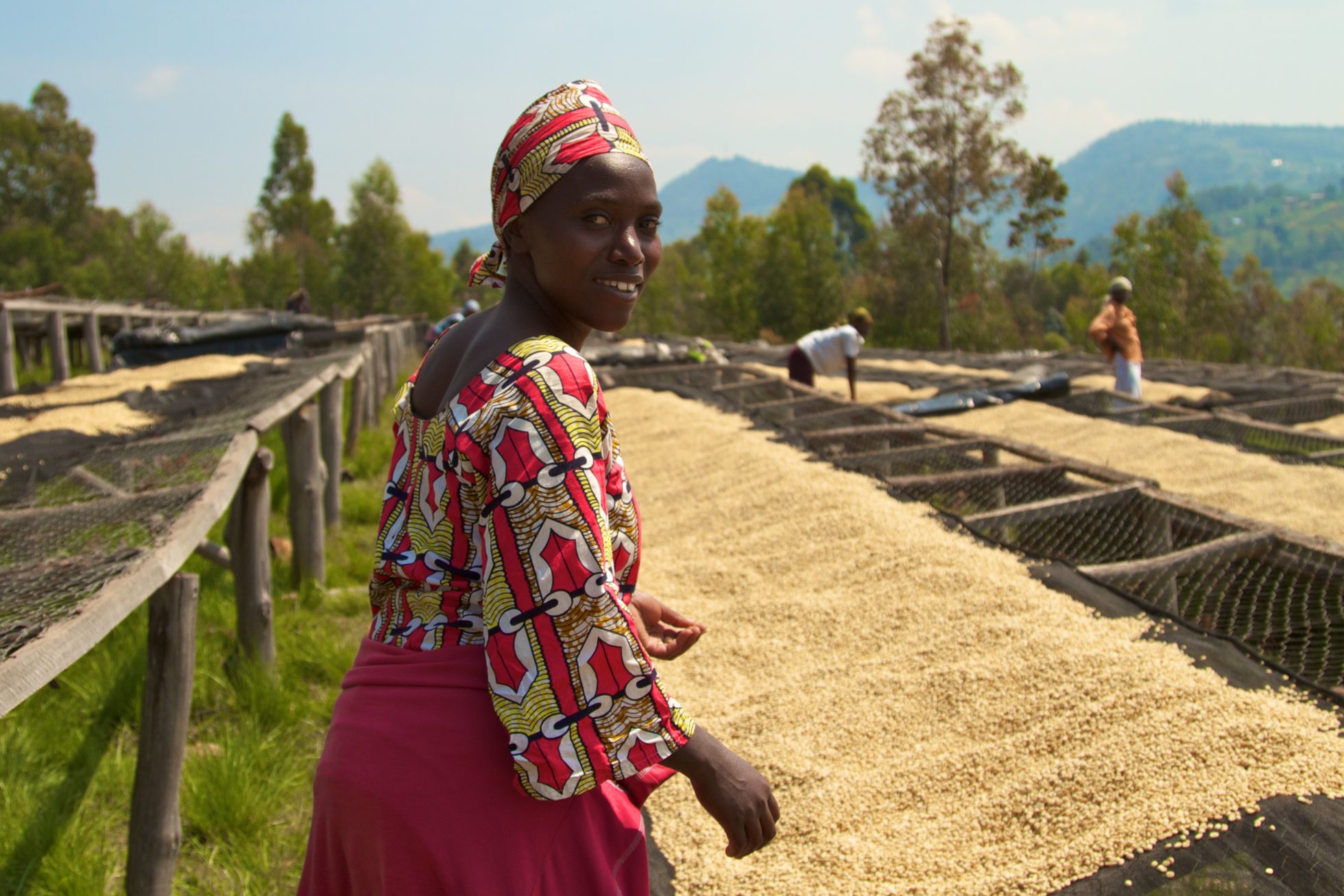 Rwanda Washed 60HB