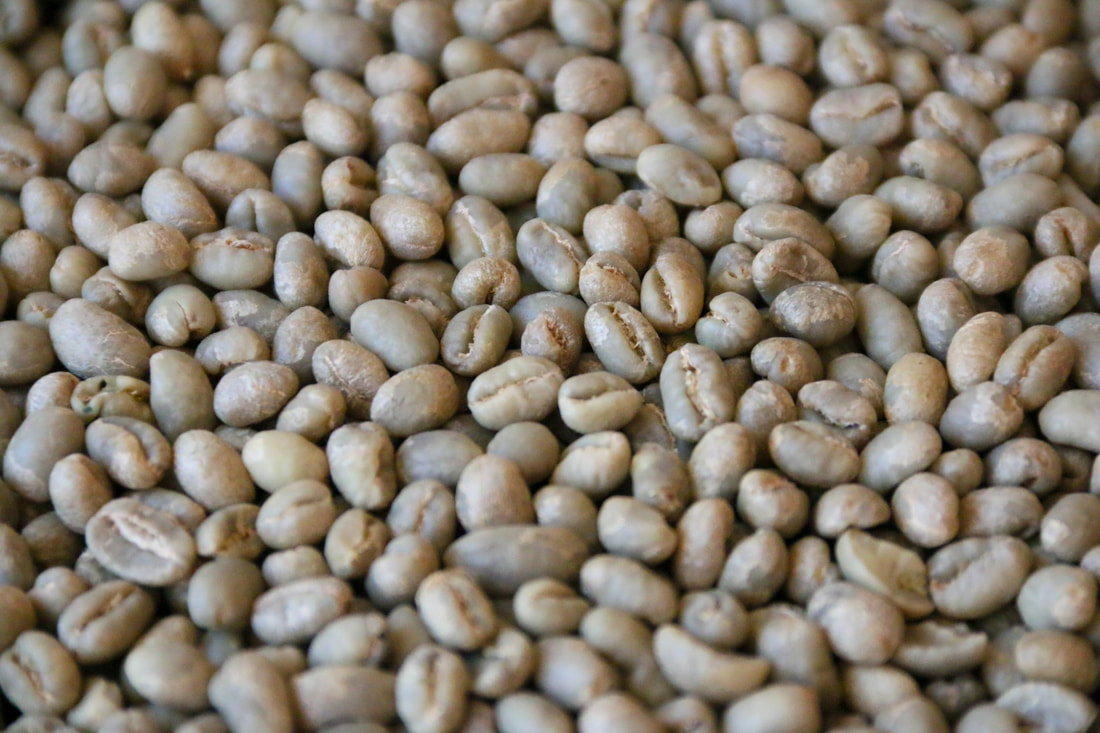 Kenya PB peaberry
