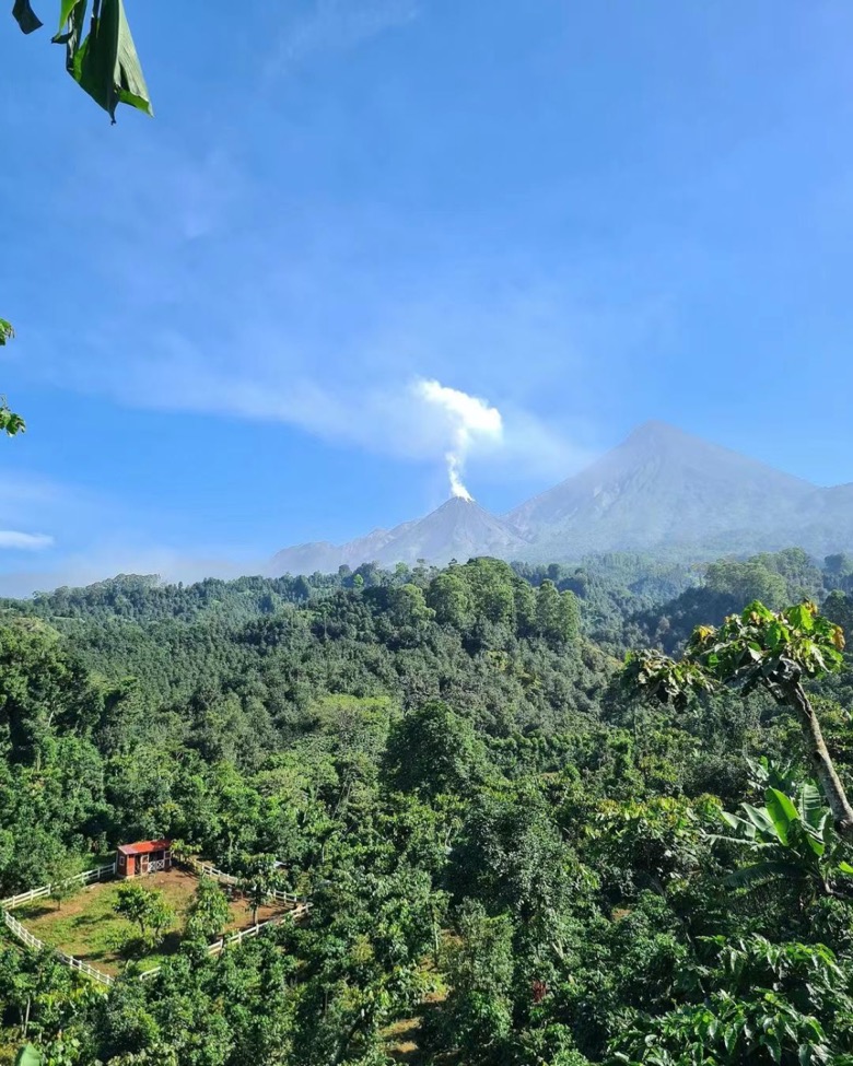 Panama Boquete region