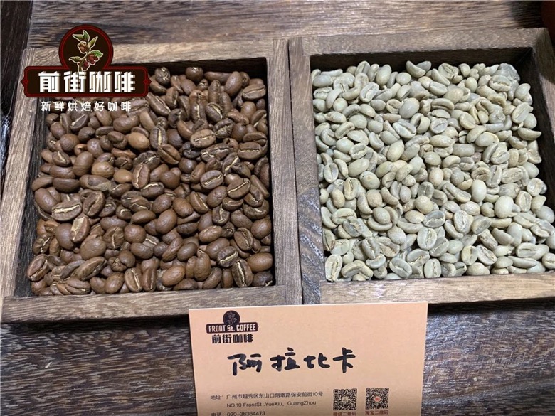 Coffee beans and flavor comparison
