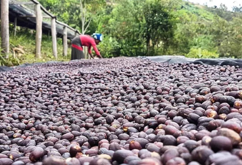Ethiopian natural processing method