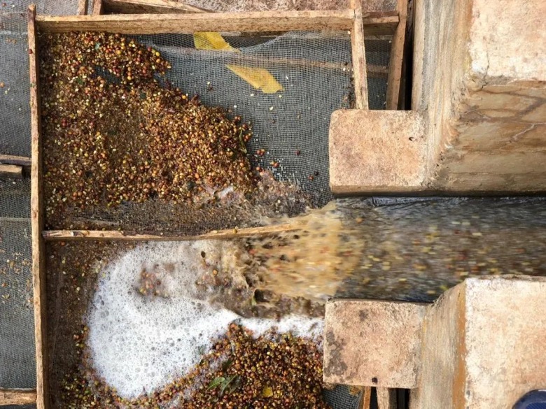 小白在家做咖啡,先搞懂处理法再决定用滤杯还是摩卡壶